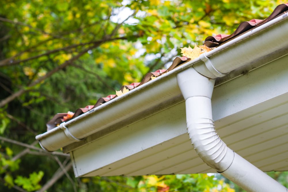 Appling Gutter cleaning